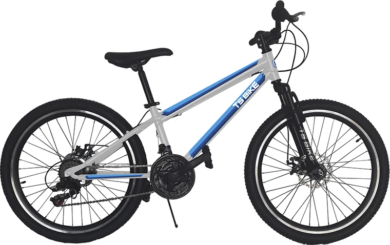 Bicicleta TS Bike Aro 24 Acero