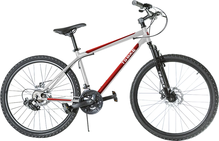 Bicicleta TS Bike Aro 26 Acero