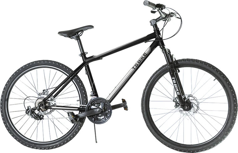 Bicicleta TS Bike Aro 26 Acero