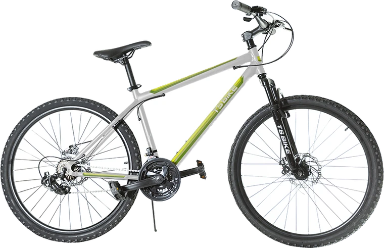 Bicicleta TS Bike Aro 29 Acero
