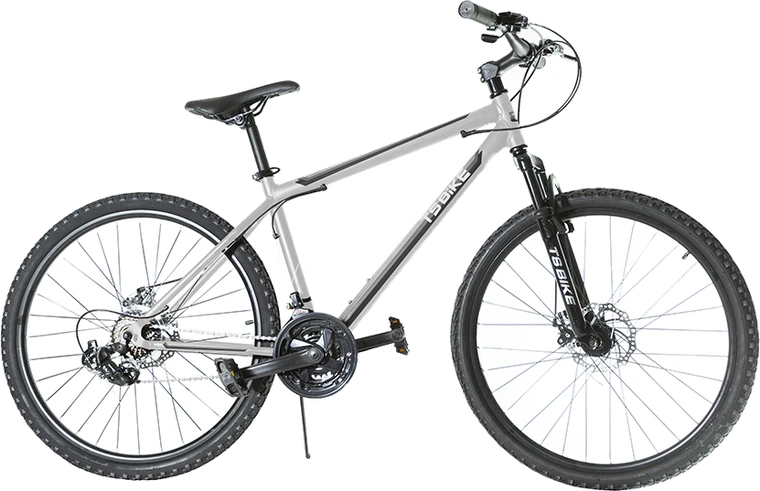 Bicicleta TS Bike Aro 29 Acero