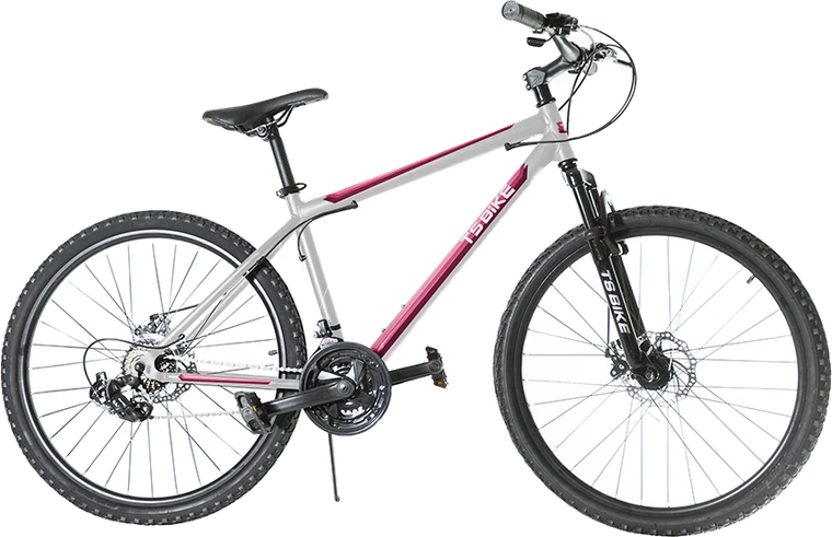 Bicicleta TS Bike Aro 29 Acero