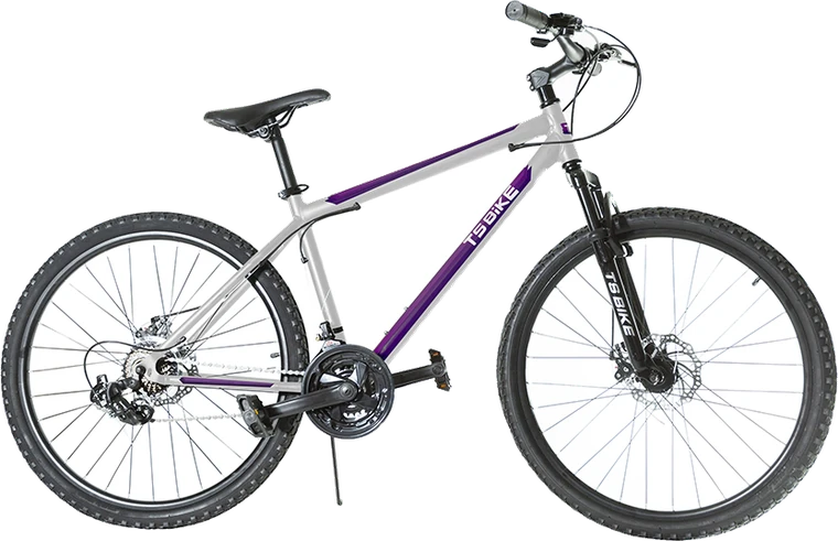 Bicicleta TS Bike Aro 29 Acero